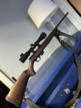 rossi 22 wmr bolt action :: GoWilkes - The Community Website for Wilkes  County, Wilkesboro, and North Wilkesboro, NC
